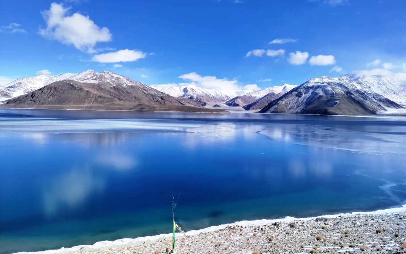 World Attic Camp Ladakh